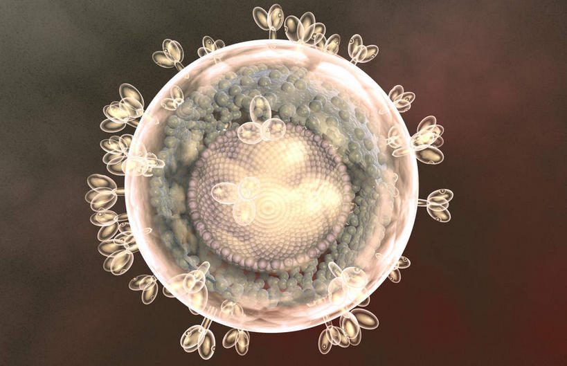 无人,横图,插画,室内,特写,白天,正面,数码,科技,静物,阴影,网络,医学,细胞,高光,几何,计算机图形,合成,图画,画,白色,人体,电脑合成图,数码合成图,疾病,生物学,艾滋病,漫画,生理学,写实,具体,具象,传染,传染病,HIV病毒,后天性免疫缺陷症候群,获得性免疫缺陷综合症,流行症,慢性病,人类免疫缺陷病毒,症候群,综合症,致命,艾滋,艾滋病病毒,彩图,感染