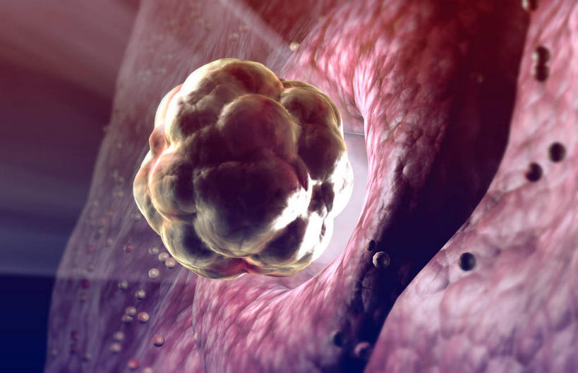 无人,横图,插画,室内,特写,白天,正面,数码,科技,静物,阴影,网络,医学,细胞,高光,几何,计算机图形,合成,图画,画,人体,电脑合成图,数码合成图,生物学,卵子,漫画,生理学,卵细胞,写实,具体,具象,排卵,彩图