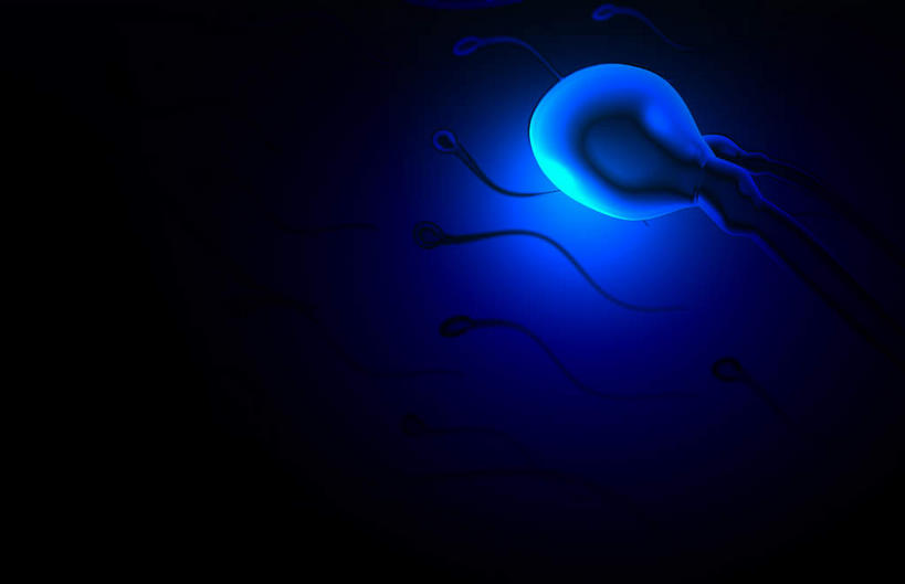 无人,横图,插画,室内,特写,白天,正面,数码,科技,静物,阴影,网络,医学,细胞,高光,几何,计算机图形,合成,图画,画,蓝色,精子,人体,电脑合成图,数码合成图,生物学,卵子,漫画,生理学,写实,具体,具象,受精,受精作用,彩图,受精卵