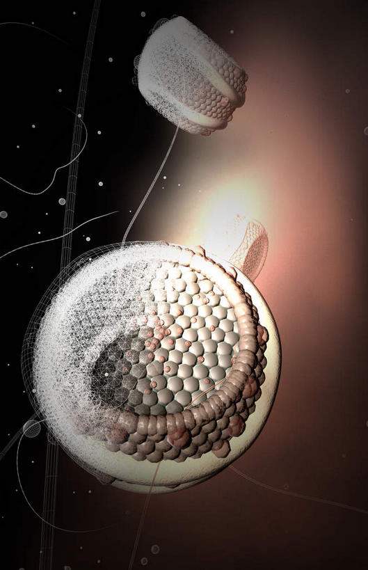 无人,竖图,插画,室内,特写,白天,正面,数码,科技,静物,阴影,网络,医学,圆形,细胞,高光,几何,计算机图形,合成,图画,画,两个,人体,电脑合成图,数码合成图,生物学,蛋白质,漫画,生理学,写实,具体,具象,脂蛋白,彩图