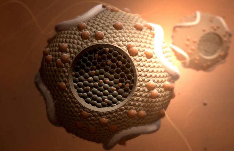 无人,横图,插画,室内,特写,白天,正面,数码,科技,静物,阴影,发光,网络,医学,圆形,细胞,高光,几何,计算机图形,合成,图画,画,两个,人体,电脑合成图,数码合成图,生物学,蛋白质,漫画,生理学,写实,具体,具象,脂蛋白,彩图