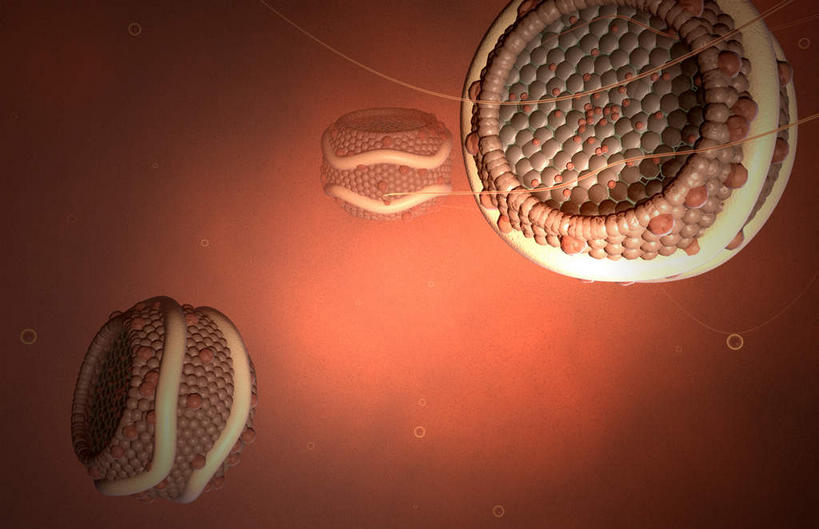 无人,横图,插画,室内,特写,白天,正面,数码,科技,静物,阴影,网络,医学,圆形,细胞,高光,几何,计算机图形,合成,图画,画,两个,红色,人体,电脑合成图,数码合成图,生物学,蛋白质,漫画,生理学,写实,具体,具象,脂蛋白,彩图