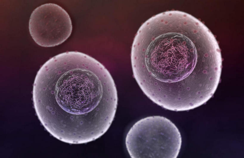 无人,横图,插画,室内,特写,白天,正面,数码,科技,静物,阴影,黑色背景,网络,医学,细胞,高光,几何,计算机图形,合成,图画,画,人体,电脑合成图,数码合成图,生物学,破裂,分裂,漫画,生理学,写实,具体,具象,细胞分裂,有丝分裂,割裂,盘据,子细胞,彩图,决裂