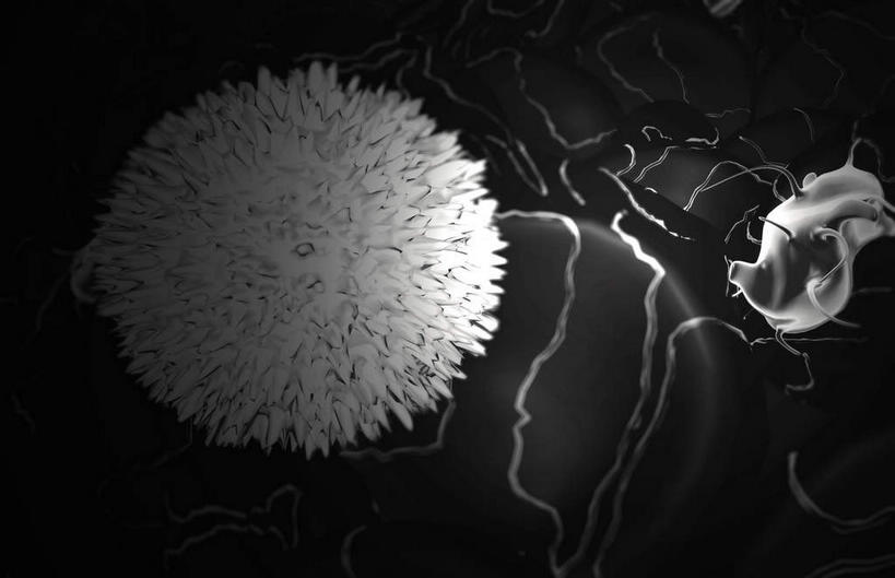 无人,横图,黑白,室内,特写,白天,正面,数码,科技,静物,阴影,黑色背景,网络,医学,细胞,高光,几何,计算机图形,合成,人体,电脑合成图,数码合成图,生物学,血细胞,白细胞,生理学,写实,具体,具象,白血球