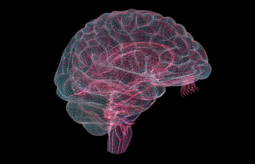 无人,横图,插画,室内,特写,白天,正面,数码,科技,静物,大脑,阴影,黑色背景,辐射,科学,网络,医学,高光,几何,计算机图形,合成,图画,画,人体,电脑合成图,数码合成图,生物学,科学技术,x射线,器官,沟壑,x光,漫画,小脑,脑干,生理学,写实,具体,具象,大脑皮层,端脑,沟,灰质,回,间脑,脑桥,视神经,延髓,颅神经,半身,彩图,大脑半球,电磁波,电磁辐射