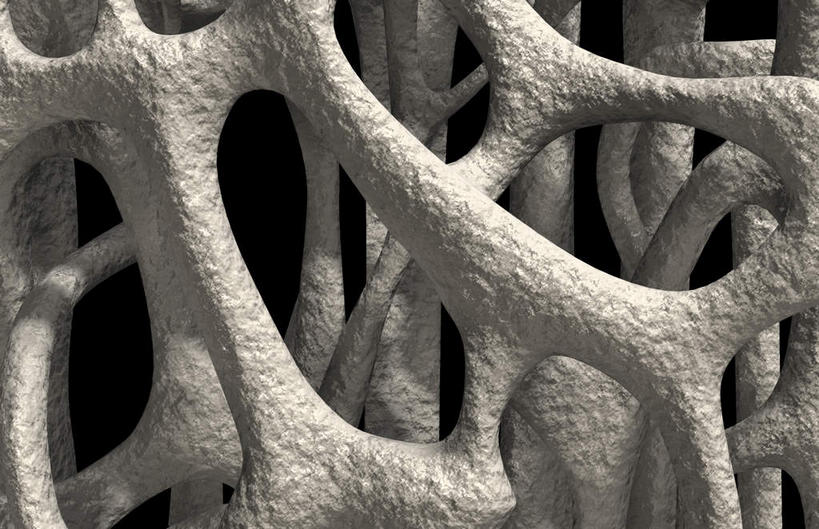 动脉,静脉,骨骼,无人,横图,黑白,插画,室内,特写,白天,正面,数码,科技,静物,阴影,黑色背景,辐射,科学,网络,医学,骨头,高光,几何,计算机图形,合成,图画,画,模型,人体,电脑合成图,数码合成图,骨架,生物学,科学技术,x射线,x光,漫画,生理学,写实,具体,具象,骨质疏松,半身,电磁波,电磁辐射