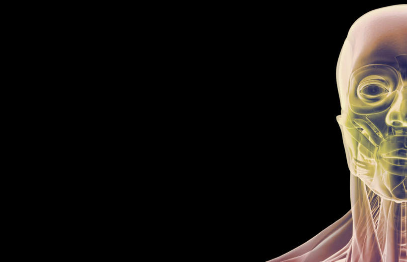 脸,头,脸颊,动脉,静脉,骨骼,肌肉,健壮,无人,横图,插画,室内,特写,白天,正面,数码,科技,静物,阴影,黑色背景,网络,医学,骨头,高光,几何,计算机图形,合成,图画,画,模型,健康,活力,力量,人体,青春,电脑合成图,数码合成图,骨架,生物学,强壮,漫画,生理学,写实,具体,具象,眼轮匝肌,头部,脸部,脸蛋,面部,半身,彩图