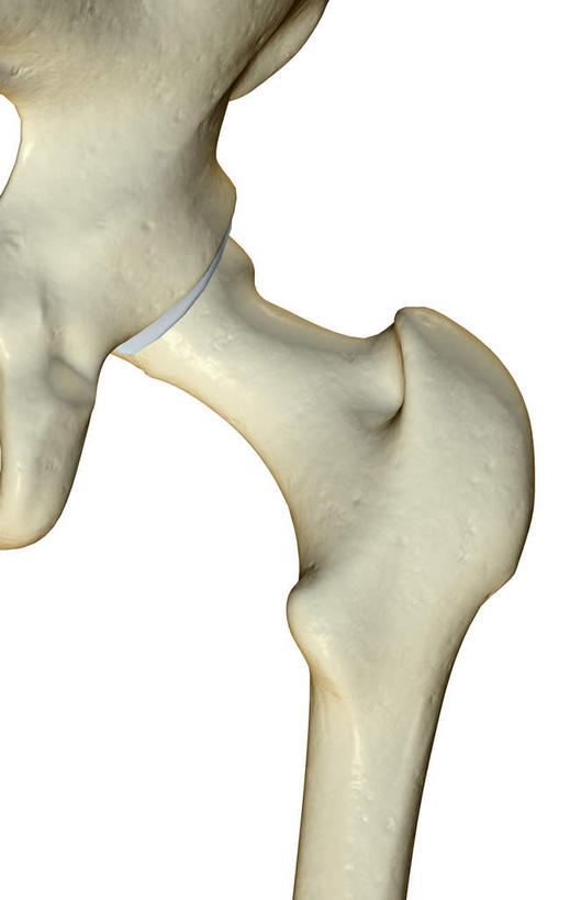 动脉,静脉,骨骼,无人,竖图,插画,室内,白天,白色背景,正面,数码,科技,静物,阴影,网络,医学,骨头,高光,几何,计算机图形,合成,图画,画,白色,模型,人体,电脑合成图,数码合成图,骨架,生物学,盆骨,漫画,生理学,写实,具体,具象,半身,彩图