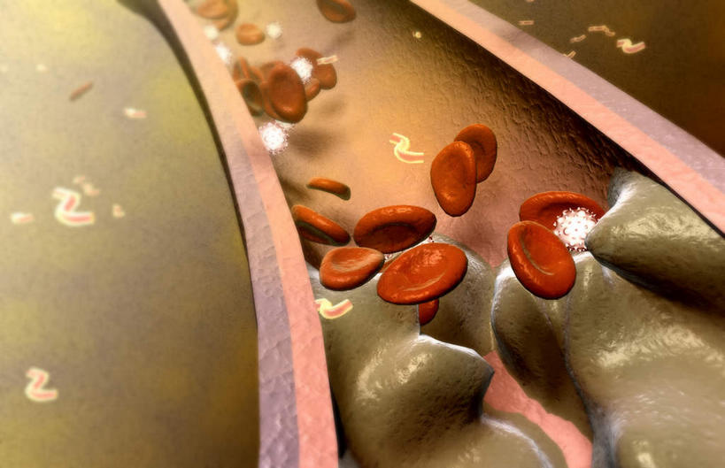 血管,无人,横图,插画,室内,特写,白天,正面,数码,科技,静物,许多,阴影,黑色背景,网络,红血球,医学,细胞,高光,几何,计算机图形,合成,图画,画,人体,流动,电脑合成图,数码合成图,生物学,血小板,漫画,白细胞,生理学,写实,具体,具象,白血球,彩图