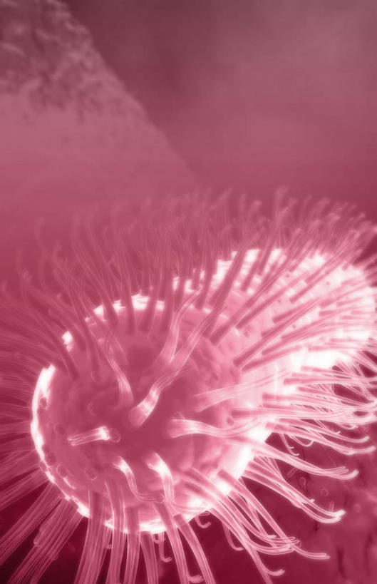 无人,竖图,插画,室内,特写,白天,正面,数码,分子,科技,微生物,阴影,红色背景,网络,细菌,医学,高光,几何,计算机图形,合成,图画,画,生物,电脑合成图,数码合成图,医疗,病毒,生物学,漫画,写实,具体,具象,寄生,生命体,螺旋杆菌,幽门螺杆菌,幽门螺旋杆菌,彩图