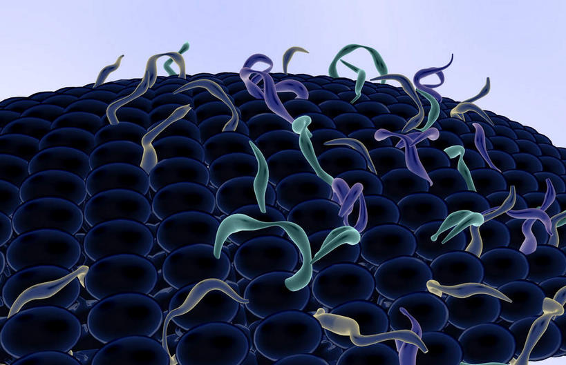 无人,横图,插画,室内,特写,白天,正面,数码,科技,静物,一堆,许多,阴影,堆叠,堆积,黑色背景,网络,医学,细胞,高光,几何,计算机图形,合成,图画,画,红色,绿色,白色,黑色,人体,堆,电脑合成图,数码合成图,生物学,漫画,生理学,写实,具体,具象,细胞膜,糖脂,彩图