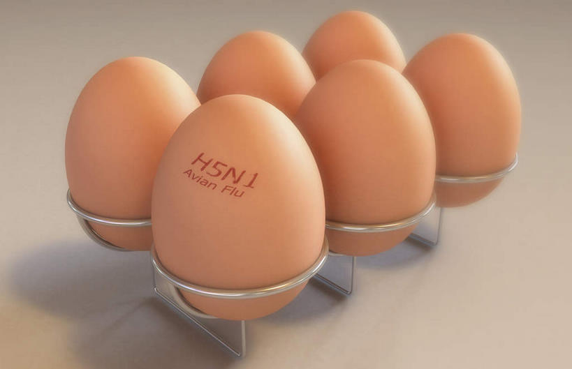 无人,横图,室内,白天,白色背景,正面,许多,阴影,环保,反射,蛋格,影子,蛋,鸡蛋,黄色,回收,资源,利用,低碳,循环,草鸡蛋,蛋托,蛋盒,卵,彩图