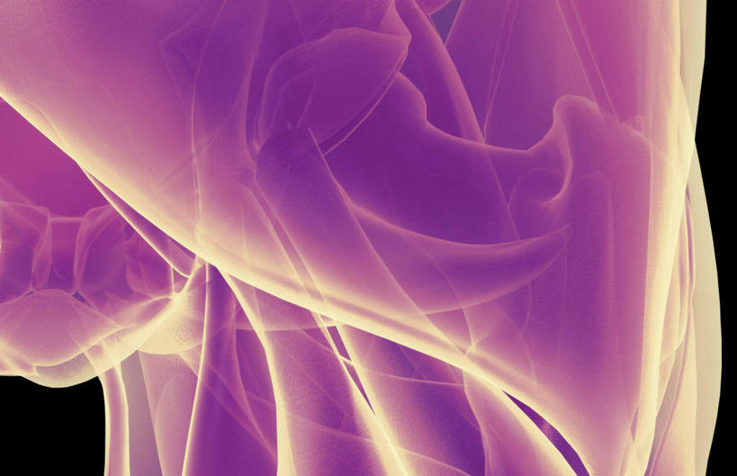 动脉,静脉,骨骼,肌肉,健壮,无人,横图,插画,x光片,室内,特写,白天,正面,数码,科技,静物,阴影,黑色背景,辐射,科学,网络,医学,骨头,高光,几何,计算机图形,合成,图画,画,紫色,模型,健康,活力,力量,人体,青春,电脑合成图,数码合成图,骨架,医疗,生物学,科学技术,x射线,强壮,x光,漫画,生理学,写实,具体,具象,髋关节,半身,彩图,电磁波,电磁辐射