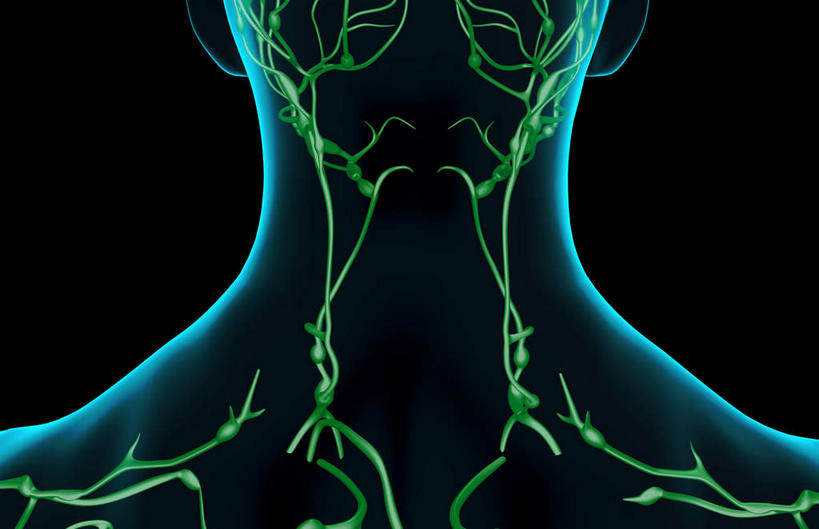 脖子,动脉,静脉,无人,横图,插画,x光片,室内,特写,白天,正面,数码,科技,静物,阴影,黑色背景,辐射,科学,网络,医学,高光,几何,计算机图形,合成,图画,画,蓝色,绿色,模型,人体,电脑合成图,数码合成图,医疗,生物学,科学技术,x射线,x光,漫画,生理学,写实,具体,具象,淋巴系统,脖,颈,颈部,彩图,电磁波,电磁辐射