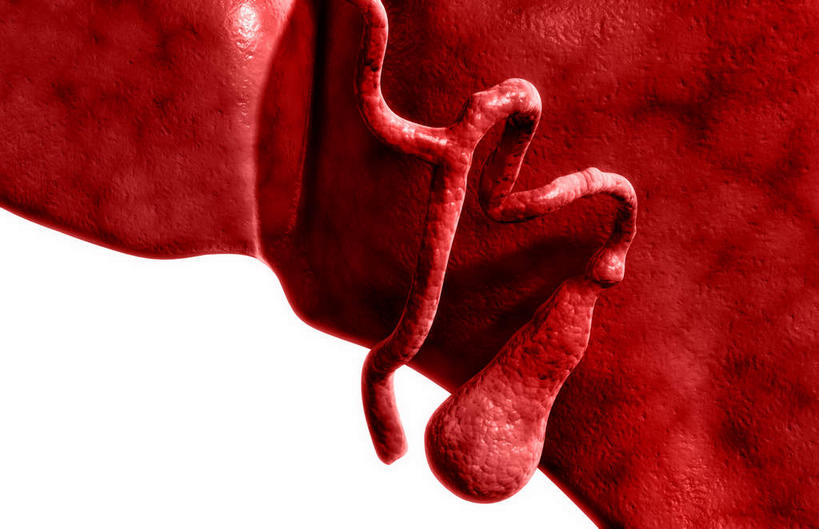 内脏,肝脏,动脉,静脉,骨骼,胆囊,无人,横图,插画,室内,特写,白天,白色背景,正面,抽象,数码,科技,静物,阴影,网络,医学,骨头,高光,几何,计算机图形,合成,图画,画,红色,模型,夸张,人体,电脑合成图,数码合成图,骨架,生物学,人体器官,器官,漫画,生理学,写实,具体,具象,深奥,胆,肝,彩图