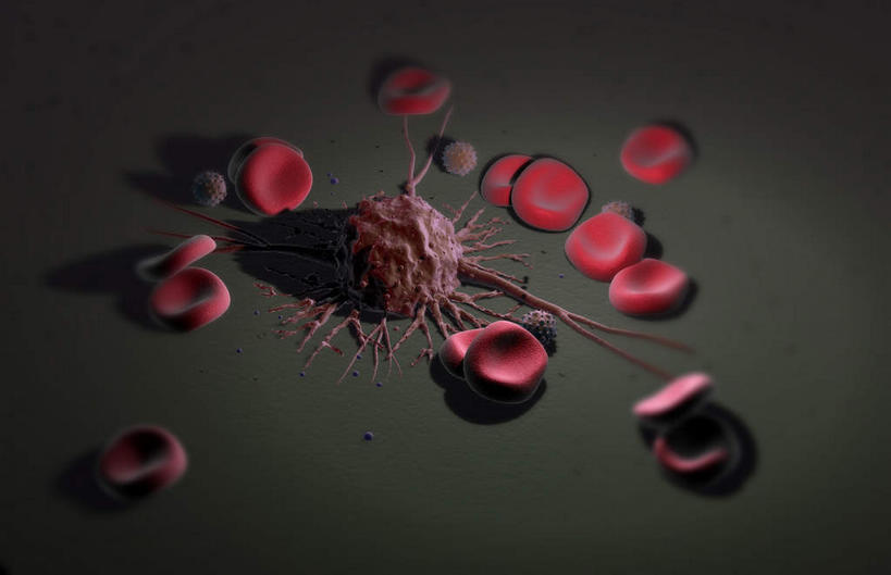 无人,横图,俯视,插画,室内,特写,白天,数码,科技,静物,阴影,黑色背景,网络,医学,细胞,高光,几何,计算机图形,合成,图画,画,人体,电脑合成图,数码合成图,生物学,血小板,漫画,癌症,癌细胞,生理学,写实,具体,具象,红细胞,白血病,血癌,彩图,高角度拍摄