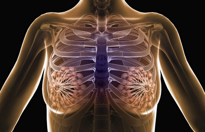 内脏,动脉,静脉,骨骼,无人,站,横图,插画,室内,特写,白天,正面,数码,科技,静物,阴影,网络,医学,骨头,高光,几何,计算机图形,合成,图画,画,红色,蓝色,白色,模型,站着,人体,电脑合成图,数码合成图,骨架,生物学,人体器官,张开五指,器官,漫画,生理学,写实,具体,具象,乳腺,站立,半身,彩图,五指张开