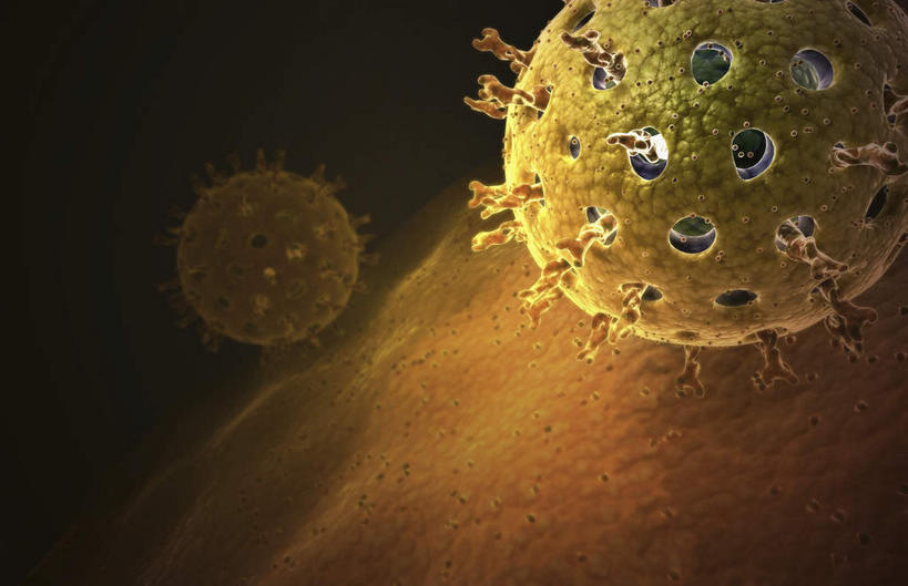 无人,横图,插画,室内,特写,白天,正面,数码,科技,微生物,静物,阴影,网络,医学,细胞,高光,几何,计算机图形,合成,图画,画,黄色,生物,人体,电脑合成图,数码合成图,医疗,病毒,生物学,漫画,生理学,写实,具体,具象,寄生,生命体,生物病毒,呼肠孤病毒,彩图