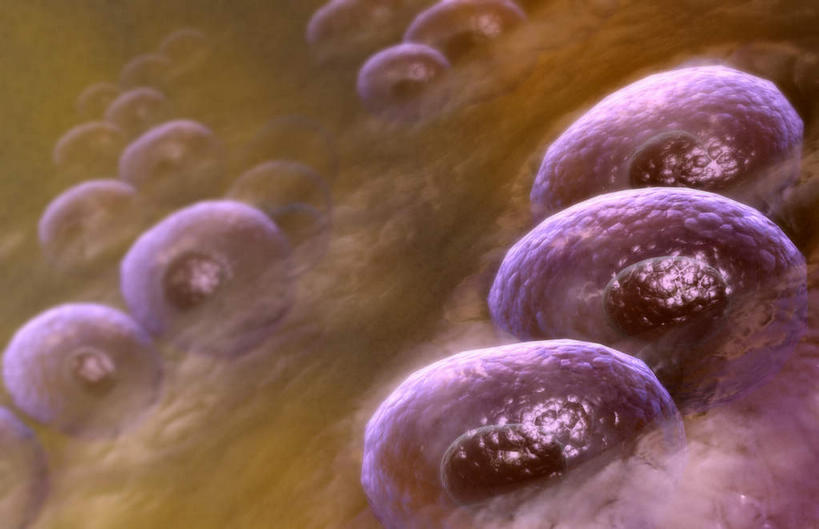 动脉,静脉,骨骼,无人,横图,插画,x光片,室内,特写,白天,正面,数码,科技,静物,阴影,辐射,科学,网络,医学,骨头,高光,几何,计算机图形,合成,图画,画,红色,模型,人体,电脑合成图,数码合成图,骨架,医疗,生物学,科学技术,x射线,x光,漫画,软骨,生理学,写实,具体,具象,胶原蛋白,彩图,电磁波,电磁辐射