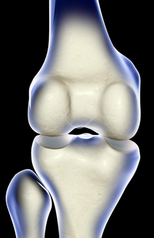 神经,动脉,静脉,骨骼,无人,竖图,插画,x光片,室内,特写,白天,正面,数码,科技,静物,阴影,黑色背景,辐射,科学,网络,医学,骨头,高光,几何,计算机图形,合成,图画,画,蓝色,白色,模型,人体,电脑合成图,数码合成图,骨架,医疗,生物学,科学技术,x射线,x光,漫画,生理学,写实,具体,具象,髌骨,股骨,半身,彩图,神经系统,电磁波,电磁辐射