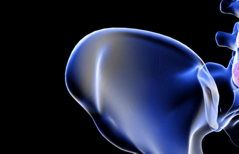 臀部,动脉,静脉,骨骼,无人,横图,插画,x光片,室内,特写,白天,正面,数码,科技,静物,阴影,黑色背景,辐射,科学,网络,医学,支架,骨头,高光,几何,计算机图形,合成,图画,画,模型,人体,臀,电脑合成图,数码合成图,骨架,医疗,生物学,科学技术,x射线,x光,漫画,生理学,写实,具体,具象,半身,彩图,电磁波,电磁辐射