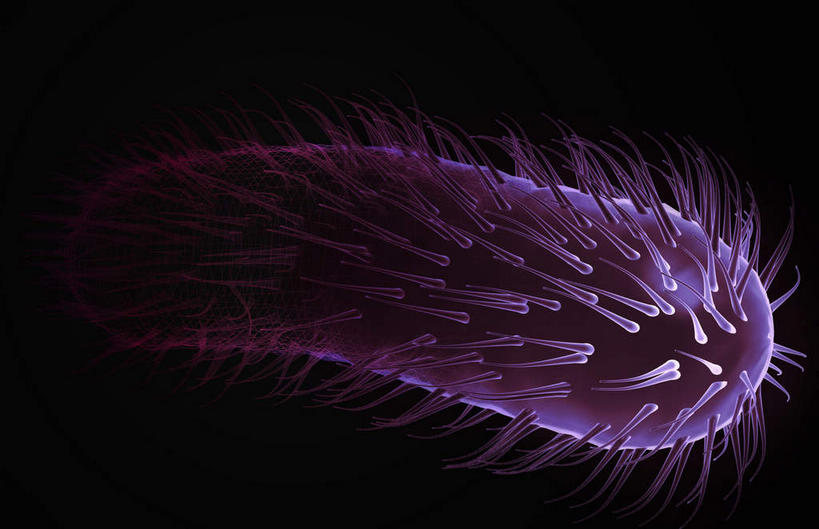 无人,横图,插画,室内,特写,白天,正面,数码,科技,微生物,静物,阴影,黑色背景,网络,细菌,医学,细胞,高光,几何,计算机图形,合成,图画,画,一个,蓝色,人体,单个,电脑合成图,数码合成图,生物学,漫画,生理学,写实,具体,具象,鞭毛,螺旋杆菌,彩图