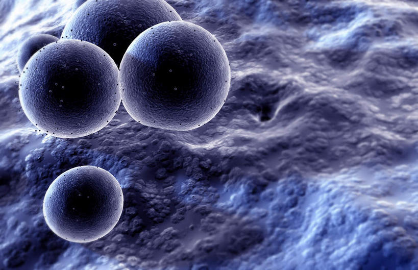 无人,横图,插画,室内,特写,白天,正面,数码,科技,微生物,静物,阴影,网络,医学,细胞,高光,几何,计算机图形,合成,图画,画,蓝色,人体,电脑合成图,数码合成图,疾病,生物学,漫画,生理学,写实,具体,具象,葡萄球菌,球菌,彩图