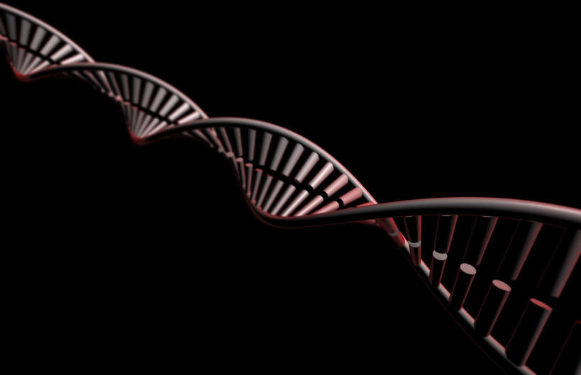 动脉,静脉,骨骼,无人,横图,插画,x光片,室内,特写,白天,正面,数码,科技,静物,阴影,黑色背景,辐射,科学,网络,基因,医学,支架,骨头,高光,几何,计算机图形,合成,图画,画,灰色,模型,生物,人体,遗传,电脑合成图,数码合成图,骨架,医疗,生物学,科学技术,x射线,脱氧核糖核酸,x光,漫画,DNA双螺旋结构,生理学,写实,具体,具象,DNA分子,去氧核糖核酸,遗传信息,遗传因子,遗传学,彩图,电磁波,电磁辐射