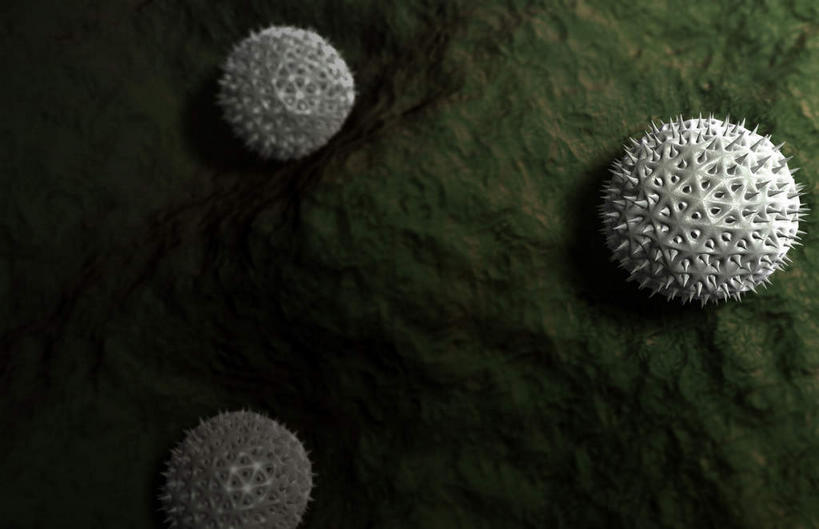 无人,横图,插画,室内,特写,白天,正面,数码,科技,静物,阴影,黑色背景,网络,细菌,医学,高光,几何,计算机图形,球状,合成,图画,画,人体,电脑合成图,数码合成图,病毒,生物学,漫画,花粉,过敏,生理学,写实,具体,具象,过敏反应,彩图