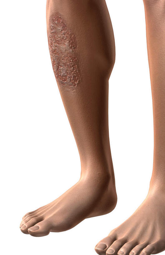 腿部,脚,脚趾,脚趾甲,动脉,静脉,骨骼,肌肉,腿,健壮,无人,站,竖图,插画,室内,特写,白天,白色背景,正面,数码,科技,静物,阴影,网络,医学,骨头,高光,几何,计算机图形,合成,图画,画,模型,站着,两只,健康,身体,活力,力量,人体,青春,电脑合成图,数码合成图,骨架,生物学,强壮,漫画,生理学,写实,具体,具象,烧伤,脚指甲,站立,半身,彩图