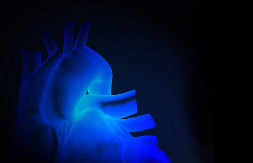 内脏,肺,气管,心脏,神经,动脉,静脉,无人,横图,插画,x光片,室内,特写,白天,正面,数码,科技,静物,阴影,黑色背景,辐射,科学,网络,医学,高光,几何,计算机图形,合成,图画,画,蓝色,模型,人体,电脑合成图,数码合成图,医疗,生物学,科学技术,x射线,器官,筋脉,x光,漫画,支气管,神经元,心血管,心房,心室,生理学,写实,具体,具象,冠状动脉,冠心病,肺部,肺脏,心,彩图,神经系统,电磁波,电磁辐射