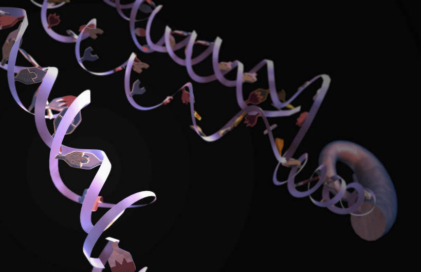 无人,横图,插画,室内,特写,白天,正面,数码,科技,阴影,黑色背景,科学,网络,基因,高光,几何,计算机图形,合成,图画,画,蓝色,生物,遗传,电脑合成图,数码合成图,脱氧核糖核酸,漫画,写实,具体,具象,DNA分子,去氧核糖核酸,遗传信息,遗传因子,遗传学,DNA双螺旋,彩图