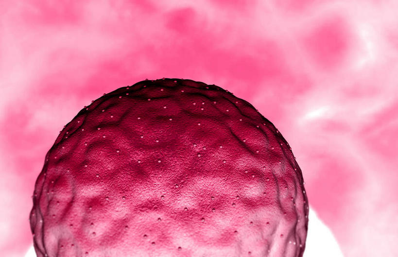 无人,横图,插画,室内,白天,正面,数码,科技,静物,阴影,红色背景,网络,医学,细胞,高光,几何,计算机图形,合成,图画,画,红色,人体,生长,成长,电脑合成图,数码合成图,胎儿,生物学,发育,漫画,孕育,生理学,写实,具体,具象,胚泡,彩图,胚胎