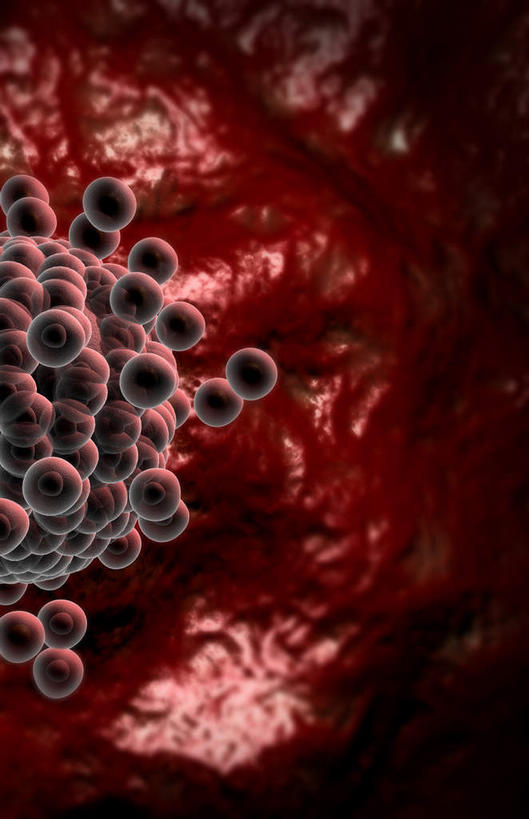 无人,竖图,插画,室内,白天,正面,数码,科技,静物,许多,阴影,黑色背景,网络,医学,细胞,高光,几何,计算机图形,合成,图画,画,人体,电脑合成图,数码合成图,生育,生物学,卵子,漫画,生理学,写实,具体,具象,受精,生殖细胞,彩图,受精卵