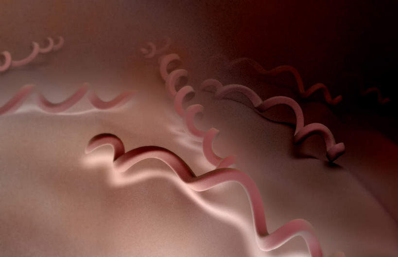 无人,竖图,室内,白天,正面,数码,科技,阴影,黄色背景,科学,网络,基因,细菌,细胞,线条,高光,几何,计算机图形,合成,红色,生物,遗传,电脑合成图,数码合成图,性传播疾病,疾病,脱氧核糖核酸,写实,具体,具象,传染,DNA分子,去氧核糖核酸,遗传信息,遗传因子,遗传学,梅毒,梅毒螺旋体,性病,彩图