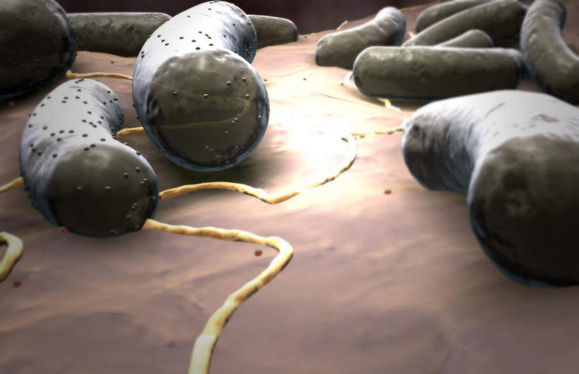 无人,横图,插画,室内,特写,白天,正面,数码,科技,静物,一排,阴影,黄色背景,整齐,网络,细菌,医学,细胞,高光,几何,计算机图形,合成,图画,画,排列,白色,人体,电脑合成图,数码合成图,生物学,队列,漫画,生理学,写实,具体,具象,大肠杆菌,大肠埃希氏菌,彩图