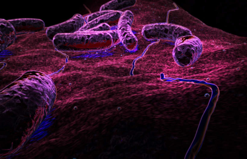 无人,横图,插画,室内,特写,白天,正面,数码,科技,静物,一排,阴影,红色背景,整齐,网络,细菌,医学,细胞,高光,几何,计算机图形,合成,图画,画,排列,紫色,人体,电脑合成图,数码合成图,生物学,队列,漫画,生理学,写实,具体,具象,大肠杆菌,大肠埃希氏菌,彩图