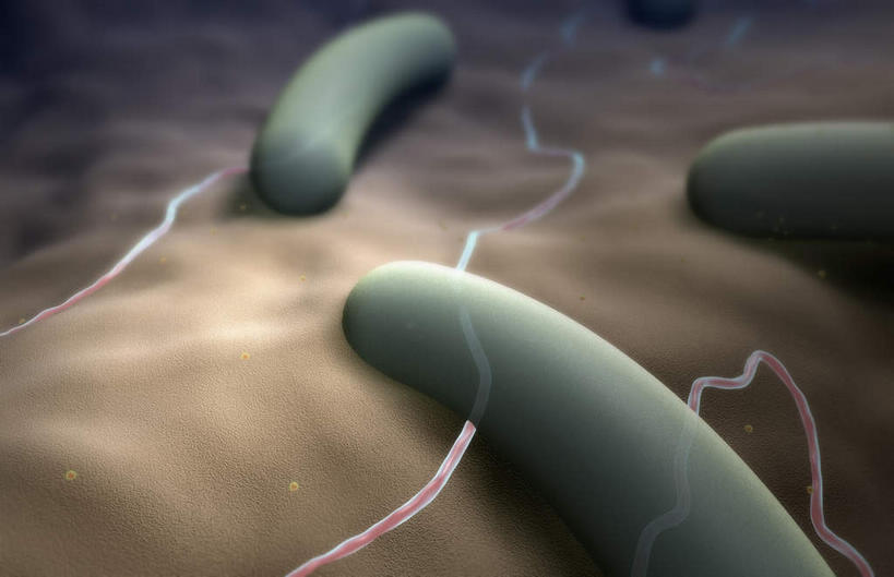 无人,横图,插画,室内,特写,白天,正面,数码,科技,静物,一排,阴影,黄色背景,整齐,网络,细菌,医学,细胞,高光,几何,计算机图形,合成,图画,画,排列,白色,人体,电脑合成图,数码合成图,生物学,队列,漫画,生理学,写实,具体,具象,肠杆菌,彩图,沙门氏菌