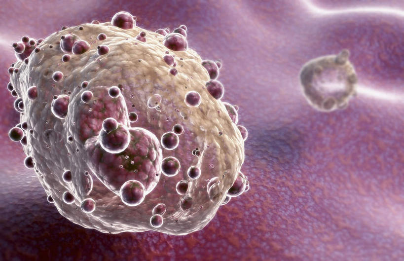 无人,横图,插画,室内,白天,正面,数码,科技,静物,阴影,网络,医学,细胞,高光,几何,计算机图形,合成,图画,画,红色,白色,人体,电脑合成图,数码合成图,生物学,血细胞,漫画,白细胞,生理学,写实,具体,具象,红细胞,淋巴,彩图