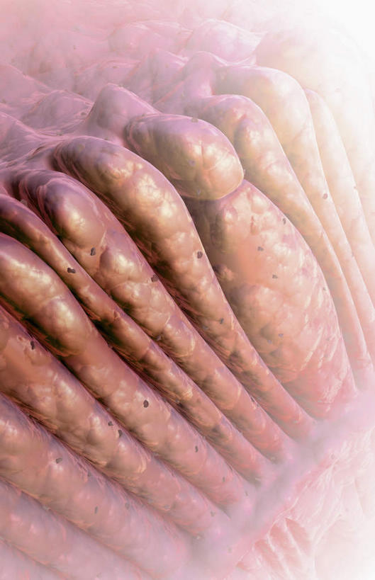 无人,竖图,插画,室内,白天,正面,数码,科技,静物,许多,阴影,网络,医学,细胞,高光,几何,计算机图形,合成,图画,画,红色,人体,电脑合成图,数码合成图,生物学,漫画,生理学,写实,具体,具象,视杆细胞,视锥细胞,彩图