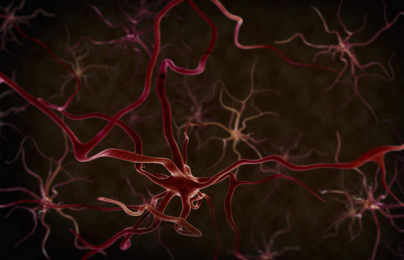 动脉,静脉,无人,横图,室内,白天,正面,数码,科技,静物,阴影,黑色背景,网络,医学,高光,几何,计算机图形,合成,模型,人体,电脑合成图,数码合成图,生物学,神经元,生理学,写实,具体,具象,运动神经元,彩图