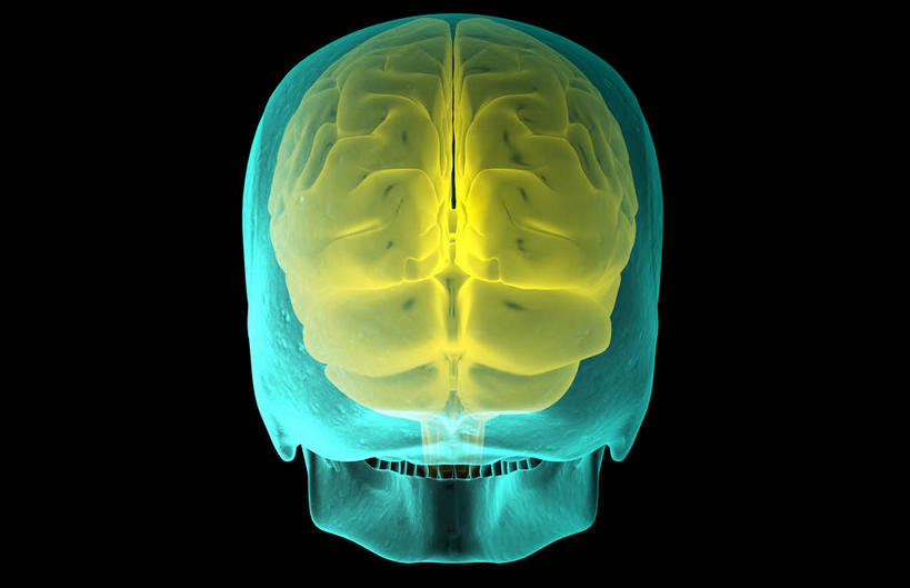 动脉,静脉,无人,横图,室内,特写,白天,正面,数码,科技,静物,大脑,阴影,黑色背景,局部,网络,医学,光芒,高光,几何,计算机图形,合成,模型,人体,部分,电脑合成图,数码合成图,生物学,器官,沟壑,小脑,脑干,生理学,写实,具体,具象,大脑皮层,端脑,沟,灰质,回,间脑,枕叶,彩图