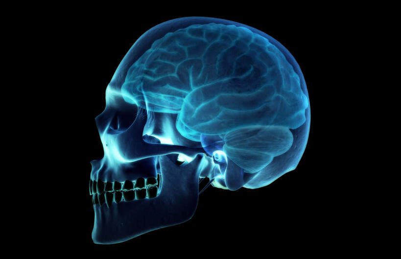 动脉,静脉,无人,横图,室内,特写,白天,正面,数码,科技,静物,大脑,阴影,黑色背景,局部,网络,医学,光芒,高光,几何,计算机图形,合成,模型,人体,部分,电脑合成图,数码合成图,生物学,器官,沟壑,小脑,脑干,生理学,写实,具体,具象,大脑皮层,端脑,沟,灰质,回,间脑,颞叶,彩图