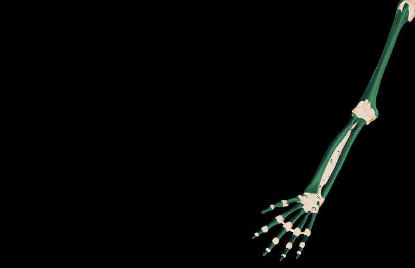 动脉,静脉,骨骼,无人,横图,室内,特写,白天,正面,数码,科技,静物,阴影,黑色背景,局部,网络,医学,骨头,光芒,高光,几何,计算机图形,合成,绿色,模型,人体,部分,电脑合成图,数码合成图,骨架,生物学,韧带,生理学,写实,具体,具象,尺骨,肱骨,桡骨,腕骨,掌骨,指骨,环状韧带,桡侧副韧带,关节囊,半身,彩图