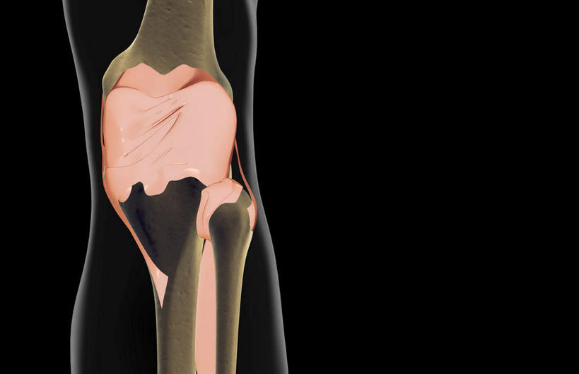 动脉,静脉,骨骼,无人,横图,插画,室内,特写,白天,正面,数码,科技,静物,阴影,黑色背景,局部,网络,医学,骨头,高光,几何,计算机图形,合成,图画,画,模型,人体,部分,电脑合成图,数码合成图,骨架,生物学,漫画,生理学,写实,具体,具象,尾骨,半身,彩图