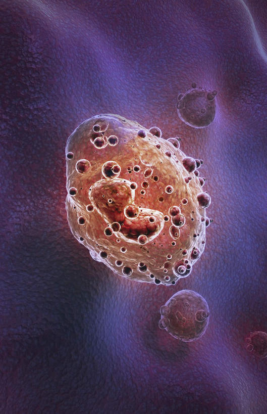 无人,竖图,插画,室内,特写,白天,正面,数码,科技,静物,阴影,网络,医学,高光,几何,计算机图形,合成,图画,画,人体,电脑合成图,数码合成图,生物学,漫画,生理学,写实,具体,具象,淋巴系统,淋巴细胞,淋巴,淋巴管,淋巴液,淋巴组织,免疫组织,彩图