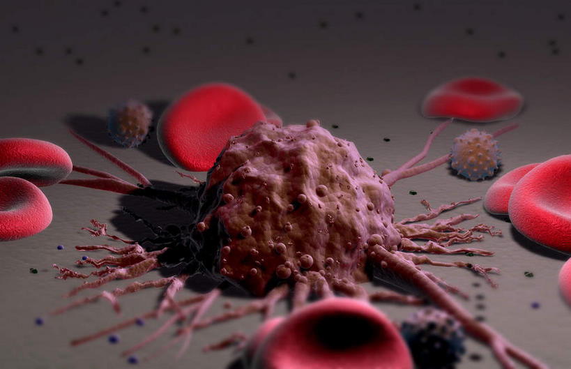 无人,横图,插画,室内,特写,白天,正面,数码,科技,微生物,阴影,网络,医学,细胞,高光,几何,计算机图形,合成,图画,画,生物,电脑合成图,数码合成图,医疗,病毒,生物学,漫画,癌症,写实,具体,具象,白血病,寄生,生命体,生物病毒,彩图