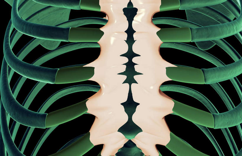 动脉,静脉,骨骼,胸骨,肋骨,无人,横图,插画,室内,特写,白天,正面,数码,科技,静物,阴影,黑色背景,局部,网络,医学,骨头,光芒,高光,几何,计算机图形,合成,图画,画,模型,人体,部分,电脑合成图,数码合成图,骨架,生物学,韧带,漫画,生理学,写实,具体,具象,胸椎,腰骨,肋软骨,半身,彩图,前纵韧带