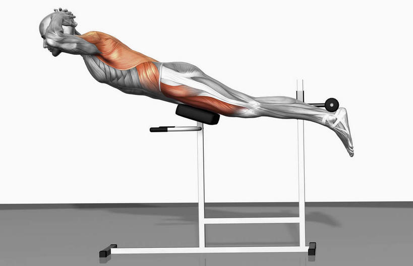 动脉,静脉,骨骼,肌肉,健壮,无人,横图,插画,室内,特写,白天,白色背景,侧面,锻炼,运动,数码,科技,静物,阴影,网络,医学,支架,骨头,高光,几何,计算机图形,合成,图画,娱乐,画,模型,趴着,享受,休闲,健康,放松,活力,力量,人体,青春,电脑合成图,数码合成图,骨架,生物学,强壮,漫画,室内运动,生理学,写实,具体,具象,重量训练,趴,彩图,全身,健身