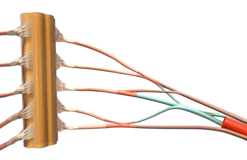 神经,动脉,静脉,无人,竖图,插画,室内,特写,白天,白色背景,正面,数码,科技,静物,阴影,网络,医学,高光,几何,计算机图形,合成,图画,画,人体,电脑合成图,数码合成图,生物学,漫画,生理学,写实,具体,具象,颈椎,尺神经,颈神经,桡神经,腋神经,臂丛,臂丛神经,腹侧神经根,正中神经,彩图